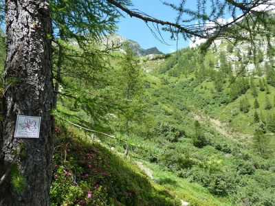 Hhenweg Walserweg im Aostatal in den italienischen Alpen