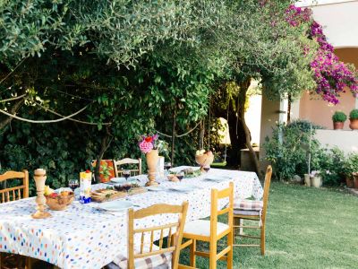 Ferienhaus-Melitio-auf-Corfu-Griechenland-Skidi-Zitronenbaum