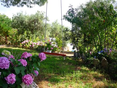 Ferienhaus Ferienwohnung Appartement Afroditi auf Korfu bei Chalikounas