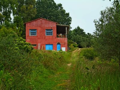 Bio Verpflegung Nachaltiger Tourismus Familienfreundlich Bauernhof Korfu Griechenland