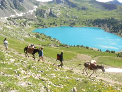 Eselwandern in Frankreich, blauer See, Berge
