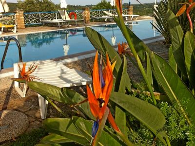 Pool der Villa Fundana auf Korfu