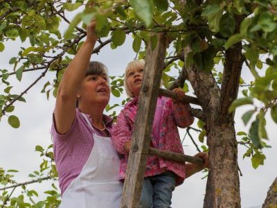 Obst pflcken, Apfelbaum, Oma mit Kind nachhaltiger Obstanbau