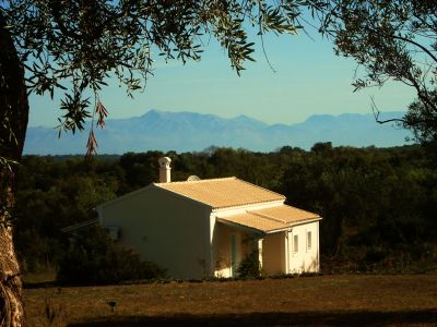 Bio Bauernhof Panoramasicht Berge Olivenbaum