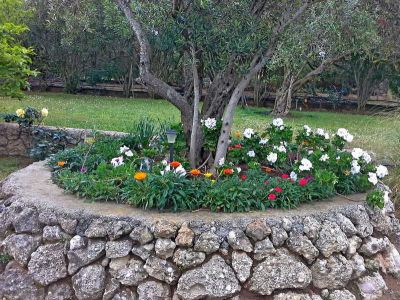 Villa Lyra mit Garten am Strand für Familienurlaub auf Corfu