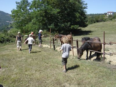 Urlaub Bauernhof Kinder Italien Piemont
