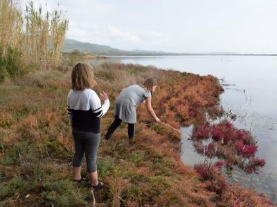 Bio-Bauernhof Agrotourismus Korfu Vraganiotika - Olivenpresse 