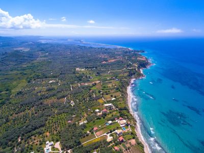 Ferienhaus Villa Phaethon auf Korfu Corfu Kanouli  - olivenbaum