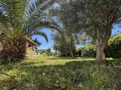 ferienwohnung ferienhaus griechenland korfu strandnah garten