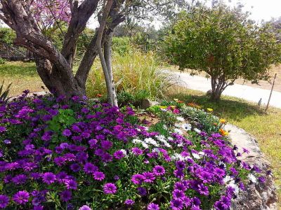 Wanderurlaub auf Korfu familienfreundlich am Meer chalikounas Korfu