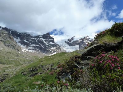 Blick zum Gletscher des Monte Rosa in den italienischen Alpen