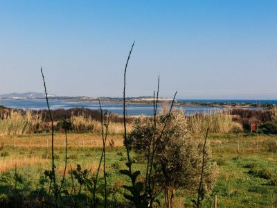 Villa Ferienhaus Ferienwohnung Strandhaus Korfu Chalikounas Efi Olgas