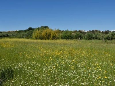 Bio-Bauernhof Agrotourismus Korfu Vraganiotika - Landschaft