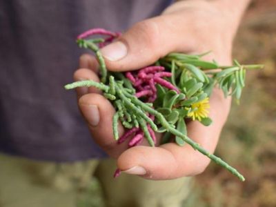 Bio-Bauernhof Agrotourismus Korfu Vraganiotika