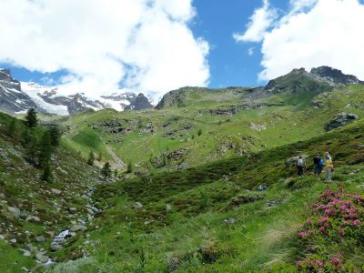 Genusswandern im Aostatal in der Nhe der Lys Quellen