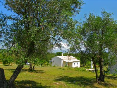 Feriehnhaus Bio Agriturismo Olivenhain Olivenbaum Roggia Farm